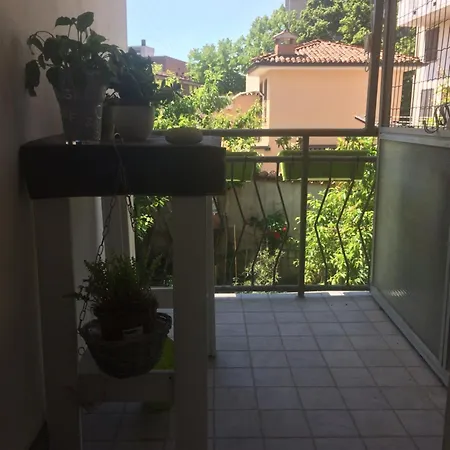 Ciotolo 17